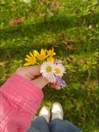 صورة العضو الرمزية