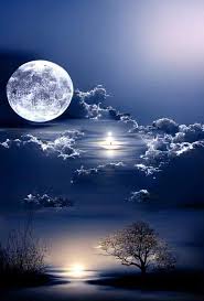 صورة العضو الرمزية